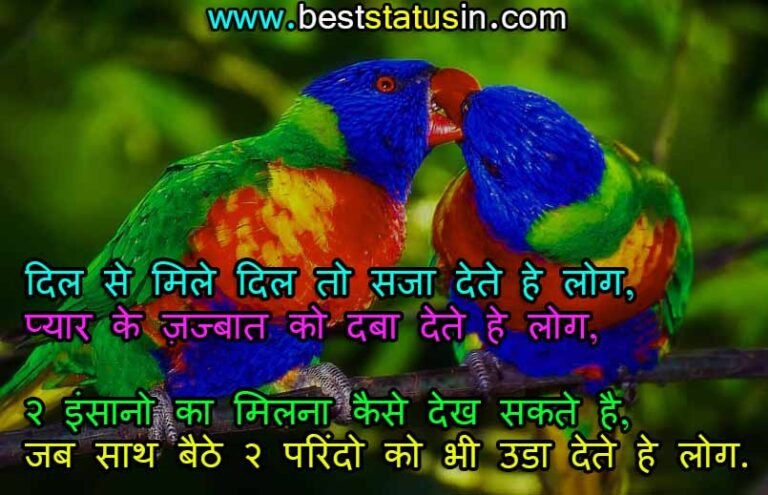 Love Status in Hindi, Best Love Status in Hindi