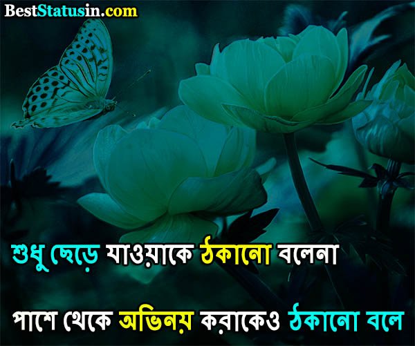 Bengali Status Text