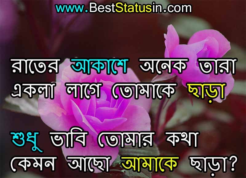 Love Status in Bangla, Best Love Status in Bangla 2023