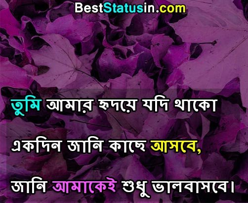 Best Love Sad Status in Bengali
