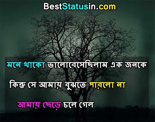 Sad Status in Bengali