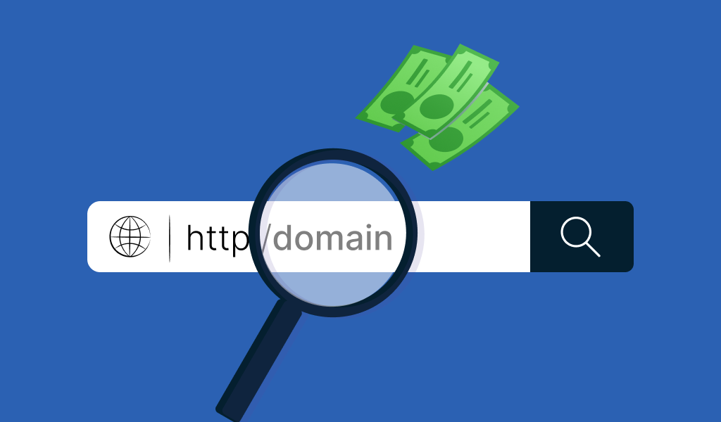 What is a Domain for a Website