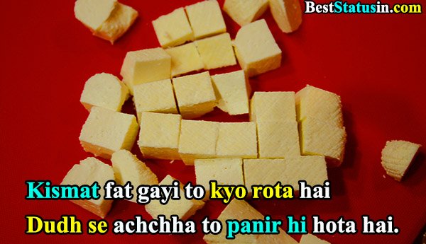 Paneer Quotes